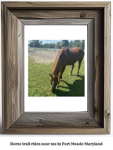 horse trail rides near me in Fort Meade, Maryland